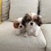 Maureen Ison - Facebook