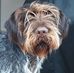 Maureen Jensen - Facebook