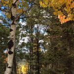 Maureen Jensen - @jensenmaureen - Instagram