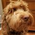 Maureen Johnston - Facebook