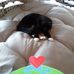 Maureen Johnston - Facebook
