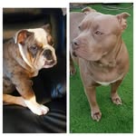 Maureen Jones - @miathexlbully789 - Instagram