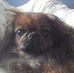 Maureen Joiner - Facebook