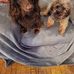 Maureen Kaster - Facebook