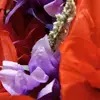 Maureen khan - @maureen.khan16 - TikTok