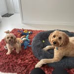 Maureen Kidd - @maureengkidd - Instagram