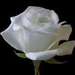 Maureen Kiley tancrell - @tancrellmaureenkiley - Instagram