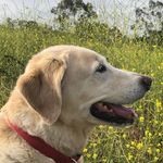 Maureen Callaghan Kinney - @maureenkinney - Instagram