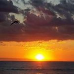 Maureen Kinney - @yebrafamily - Instagram