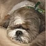 Maureen Amman Kirk - @maureenkirk3 - Instagram