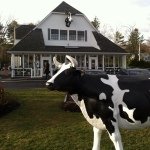 Maureen's Kitchen 🐮 - @maureens_kitchen - Instagram