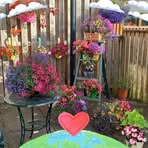 Maureen Knox - Facebook