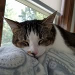 Maureen Kosakoski - @maureenkosakoski - Instagram