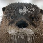 Maureen Krueger Bohleber - @mumugl - Instagram