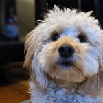 Maureen Kunz - @mosie29 - Instagram