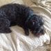 Maureen Lake - Facebook