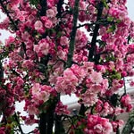 Maureen Lakey Gass - @maureenlakey - Instagram