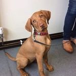 Maureen Lambert - @maureen.lambert.14 - Instagram