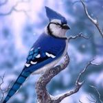 Maureen Lambert - @maureenlambert54 - Instagram