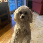 Maureen Landers - @mala55 - Instagram