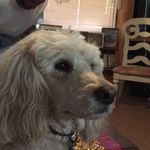 Maureen Landers - @skyeyz0706 - Instagram