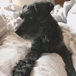 Maureen Lang-Spall - @spallerseconds - Instagram