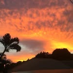 Maureen Langberg - @maureenlangberg - Instagram
