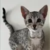 maureenlang93 - @maureenlang93 - TikTok