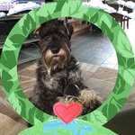 Maureen Larkin - @maucur - Instagram