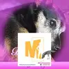 Maureen Laura Kenned - @maureenlaurakenne - TikTok