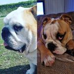 Maureen Leach - @momo26to30 - Instagram