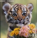 Maureen Leach - Facebook