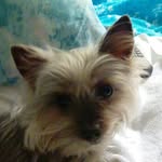 maureen Leduc - @maurld1957 - Instagram