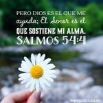 Mau Leon - @maureenleon - Instagram