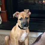 Maureen Leon - @maureen.leon.75 - Instagram