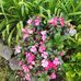 Maureen Leon - Facebook