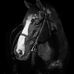 Maureen Leonard - Facebook