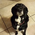 Maureen Leonard - @maureenleonard1636 - Instagram
