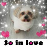 Maureen Leonard - @maureenleonard3419 - Instagram