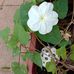 Maureen Leonard - Facebook