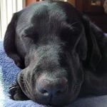 Maureen Leonard - @maureenleonard3752 - Instagram