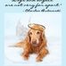 Maureen Lester - Facebook