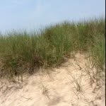 Maureen🇺🇸☘️🌊🌻 - @maureenlett - Instagram