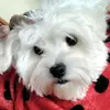 Maureen Kellett - @maureenkellett_2675 - TikTok