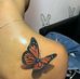 Maureen Link - Facebook