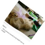 Maureen Linktimewa - @maureen_linktimewaf - Instagram