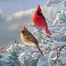 Maureen Lockwood - Facebook