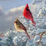 Maureen Lockwood - @maureenlockwood61 - Instagram