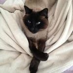 Maureen Lockwood - @maureenlockwood - Instagram