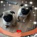 Maureen Long - Facebook
